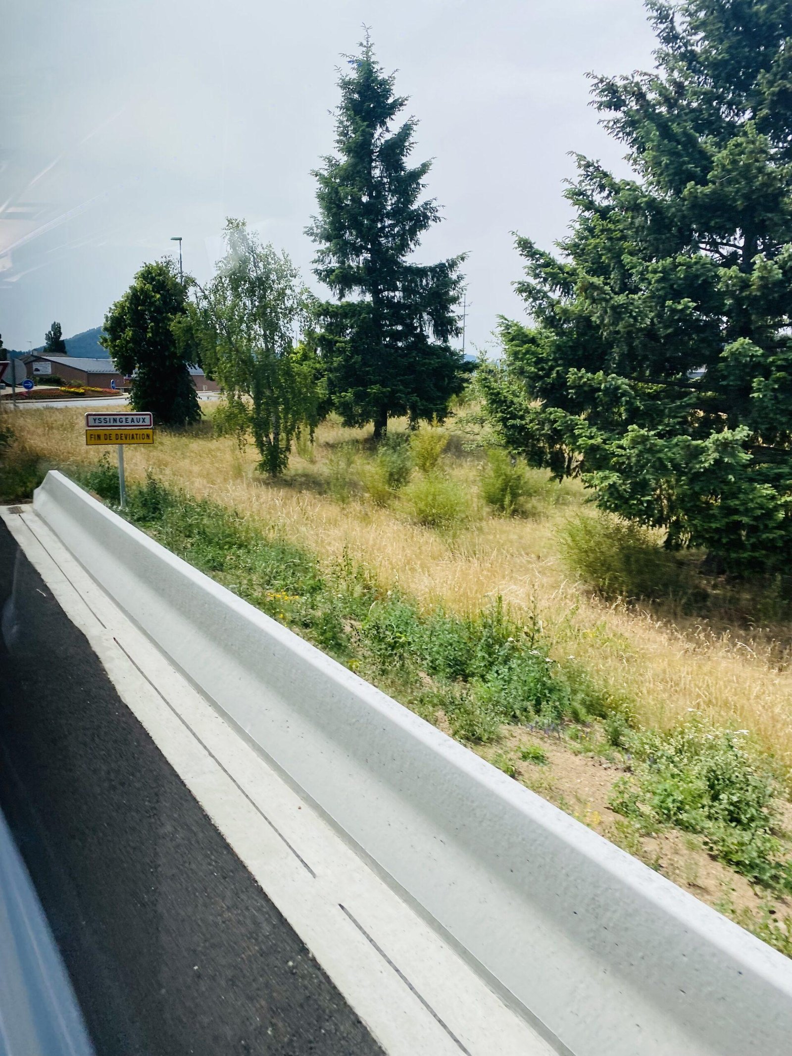 IMG_4701